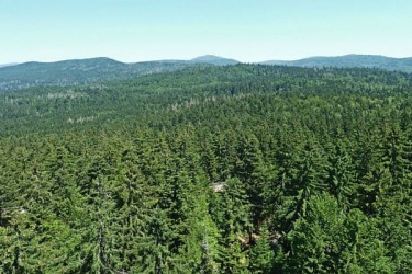 Propriété Forestière - Achat et Vente de forêt