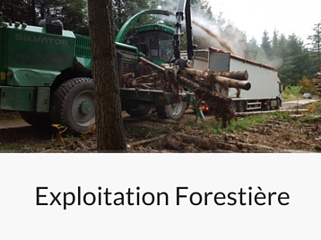 Services Forestière Hiram Forêt et Bois